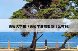 美签大学生（美签学生需要带什么材料）