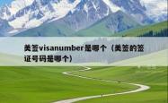 美签visanumber是哪个（美签的签证号码是哪个）