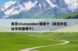 美签visanumber是哪个（美签的签证号码是哪个）