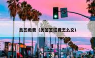 美签缴费（美签签证费怎么交）