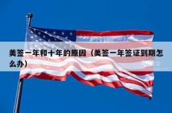 美签一年和十年的原因（美签一年签证到期怎么办）