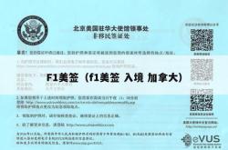 F1美签（f1美签 入境 加拿大）