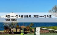美签ems怎么查快递号（美签ems怎么查快递号码）