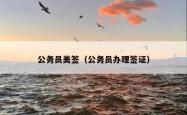 公务员美签（公务员办理签证）