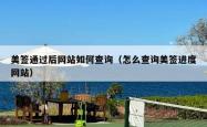美签通过后网站如何查询（怎么查询美签进度网站）
