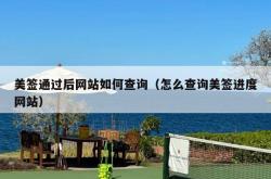 美签通过后网站如何查询（怎么查询美签进度网站）