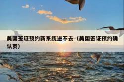 美国签证预约新系统进不去（美国签证预约确认页）
