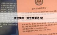 美签类型（美签类型选择）