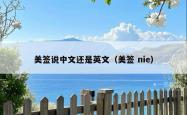 美签说中文还是英文（美签 nie）