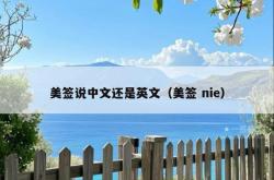 美签说中文还是英文（美签 nie）