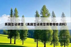 美国签证续签（美国签证续签需要哪些资料）