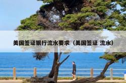 美国签证银行流水要求（美国签证 流水）