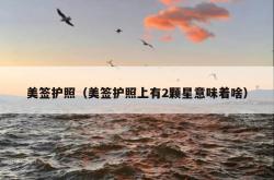 美签护照（美签护照上有2颗星意味着啥）