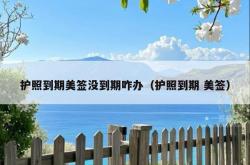 护照到期美签没到期咋办（护照到期 美签）
