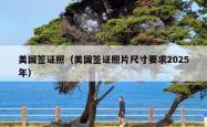 美国签证照（美国签证照片尺寸要求2025年）