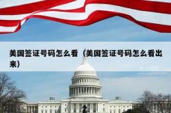 美国签证号码怎么看（美国签证号码怎么看出来）