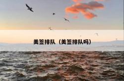 美签排队（美签排队吗）