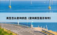 美签怎么查询状态（查询美签是否有效）