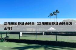 沈阳美国签证通过率（沈阳美国签证通过率怎么样）