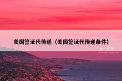 美国签证代传递（美国签证代传递条件）