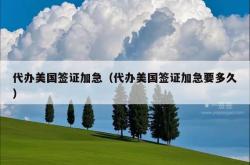 代办美国签证加急（代办美国签证加急要多久）