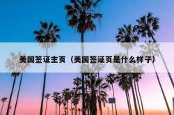 美国签证主页（美国签证页是什么样子）
