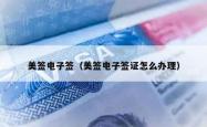 美签电子签（美签电子签证怎么办理）