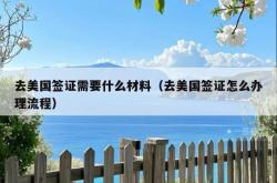 去美国签证需要什么材料（去美国签证怎么办理流程）