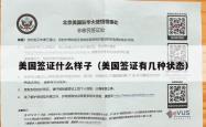 美国签证什么样子（美国签证有几种状态）