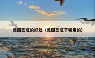 美国签证的好处（美国签证干嘛用的）