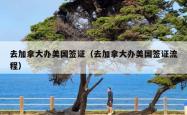 去加拿大办美国签证（去加拿大办美国签证流程）