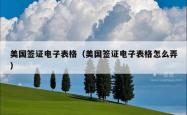 美国签证电子表格（美国签证电子表格怎么弄）