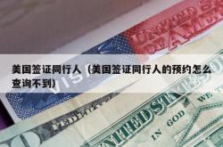 美国签证同行人（美国签证同行人的预约怎么查询不到）