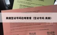 美国签证号码在哪里看（签证号码 美国）