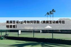 美国签证cgi号如何获取（美国签证编号在哪里看）