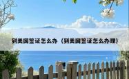 到美国签证怎么办（到美国签证怎么办理）