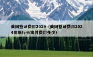 美国签证费用2019（美国签证费用2024用银行卡支付费用多少）
