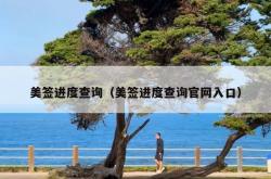 美签进度查询（美签进度查询官网入口）