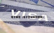 电子美签（电子签证如何使用）