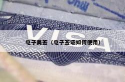 电子美签（电子签证如何使用）