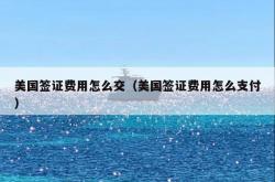 美国签证费用怎么交（美国签证费用怎么支付）