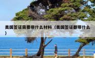 美国签证需要带什么材料（美国签证都带什么）