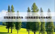 沈阳美国签证代办（沈阳美国签证代办机构）