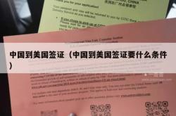 中国到美国签证（中国到美国签证要什么条件）