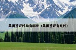 美国签证种类有哪些（美国签证有几种）