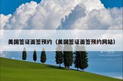 美国签证面签预约（美国签证面签预约网站）