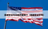 美国签证号码指的是哪个（美国签证字母）