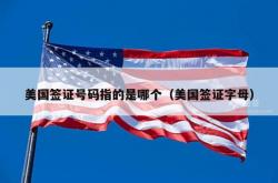 美国签证号码指的是哪个（美国签证字母）