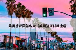 美国签证费怎么交（美国签证付款流程）