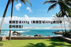 美国签证221g（美国签证221g通过率高吗现在）